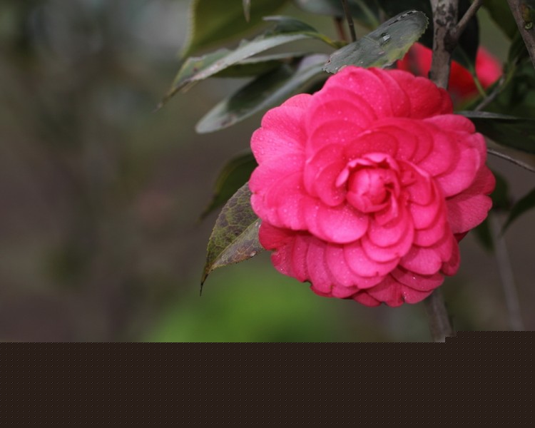 BI0E9060.JPG