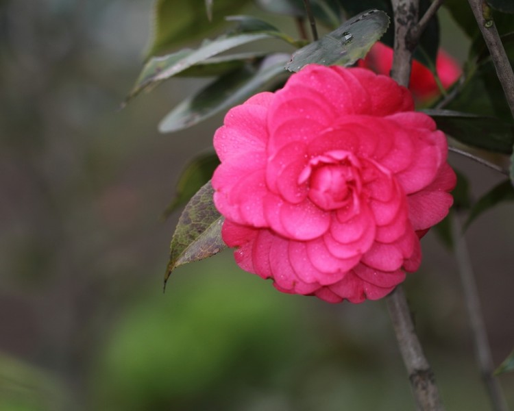 BI0E9058.JPG
