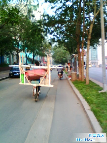 IMG0849A.jpg