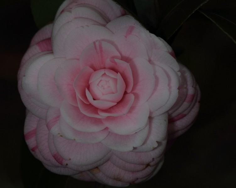 BI0E9174.JPG