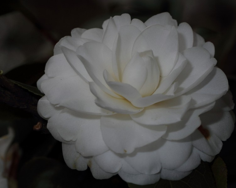 BI0E9204.JPG