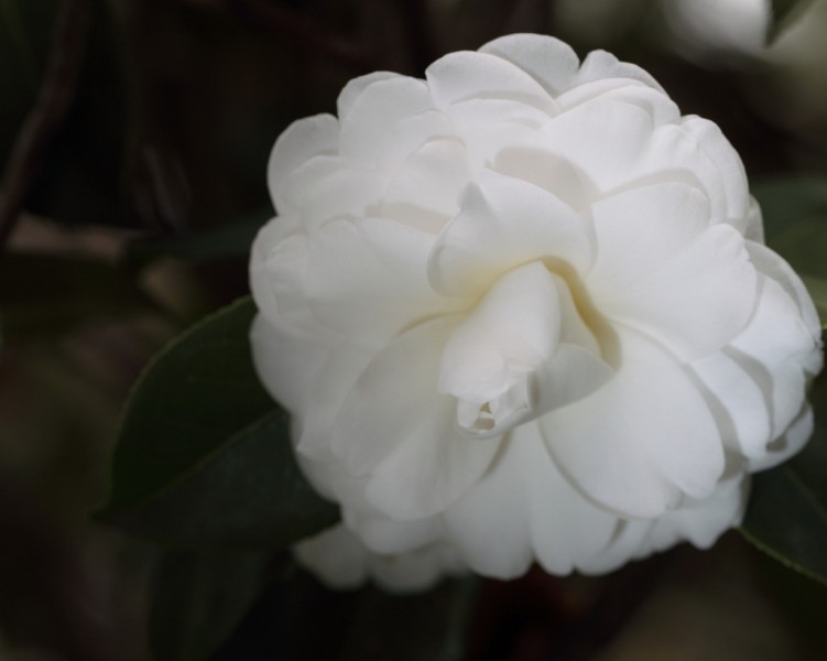 BI0E9212.JPG