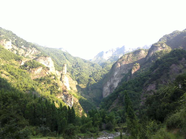 东家岙