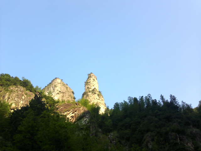 东家岙