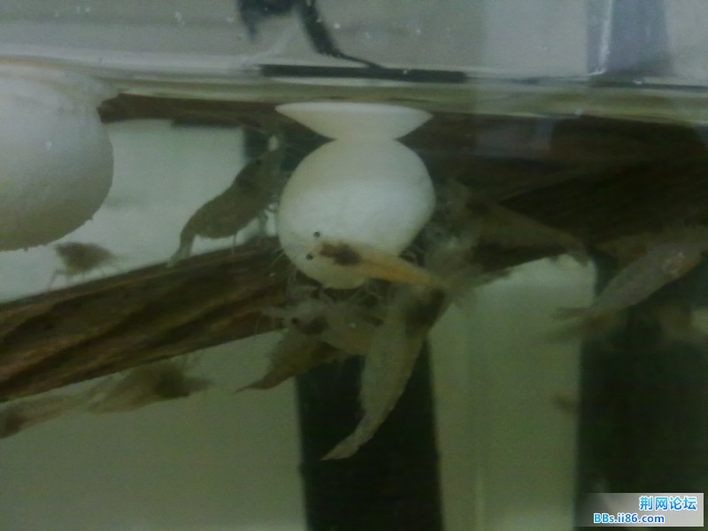 201201171459.jpg