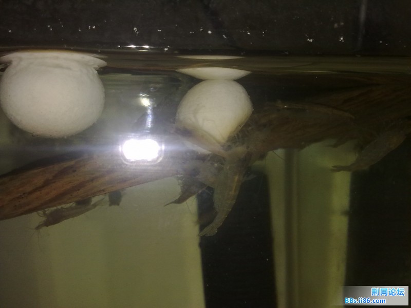 201201171458.jpg