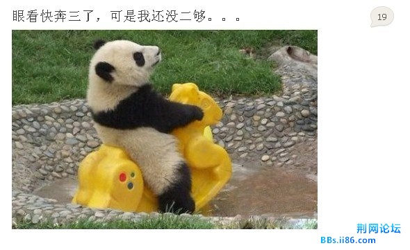 河鱼天雁h.jpg