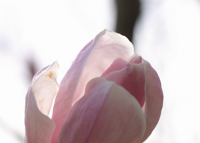 BI0E0551.jpg