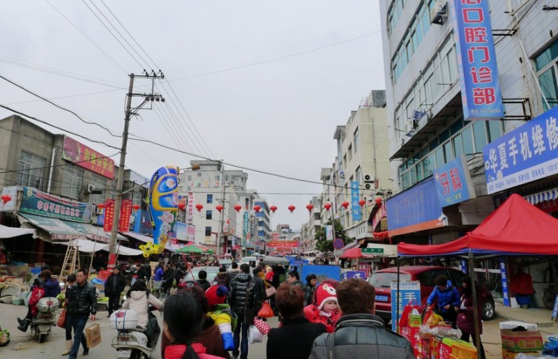 P1100759.jpg