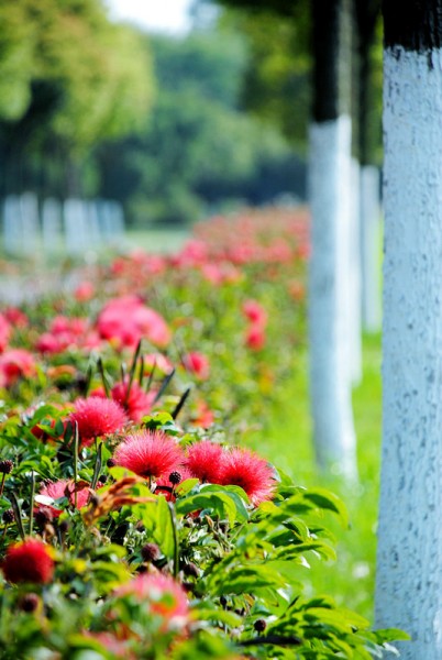 DSC_1802_副本.jpg