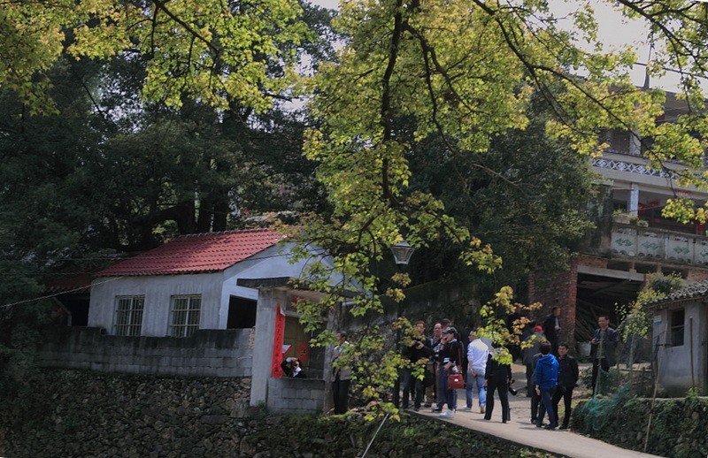 BI0E1029.JPG