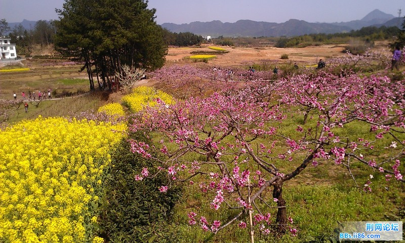 IMAG0097.jpg