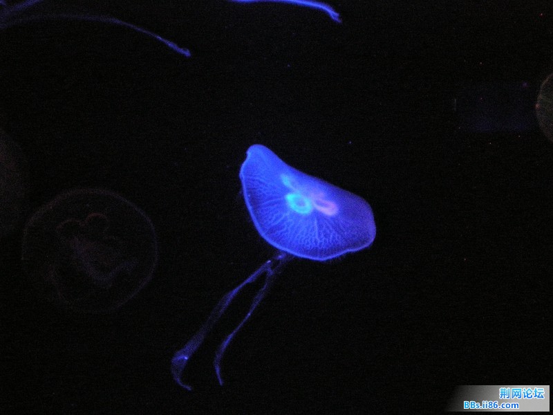 旅游照 084.jpg