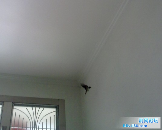 20120419132341.jpg