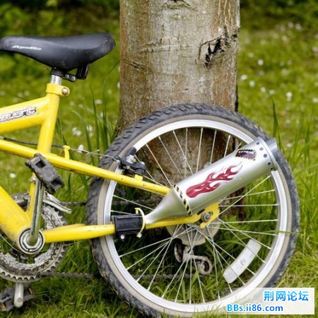 20120425101.jpg