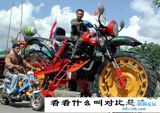 1e09a1dced38d56337a0ebe081b2682d.jpg