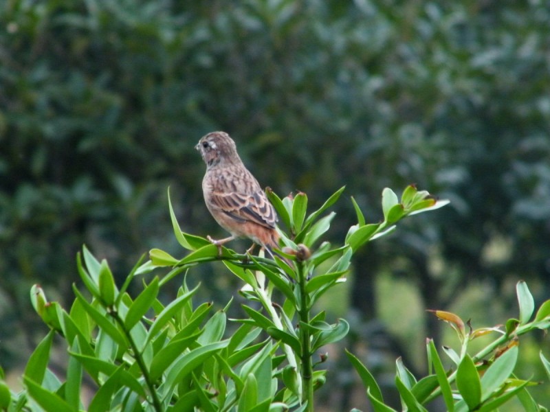 DSCF0473.JPG