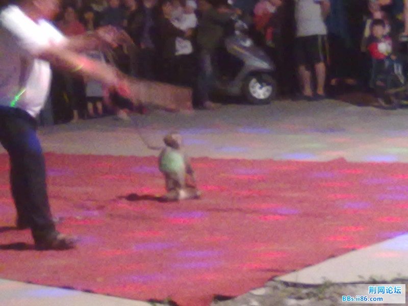 11052012566.jpg