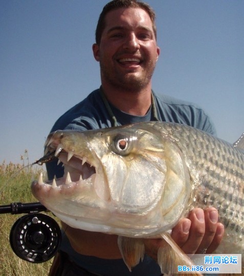 Img3.jpg