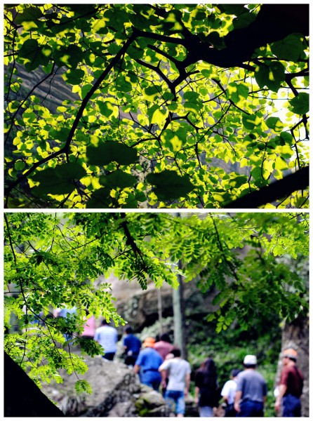 DSC_0053_副本_副本.jpg