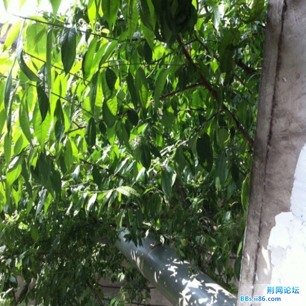 照片 221.jpg