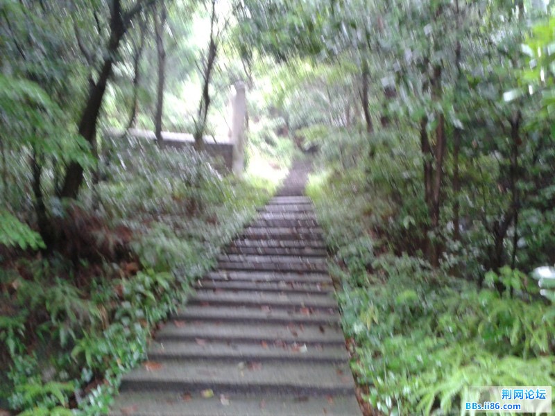 2012-06-11 13.30.02.jpg
