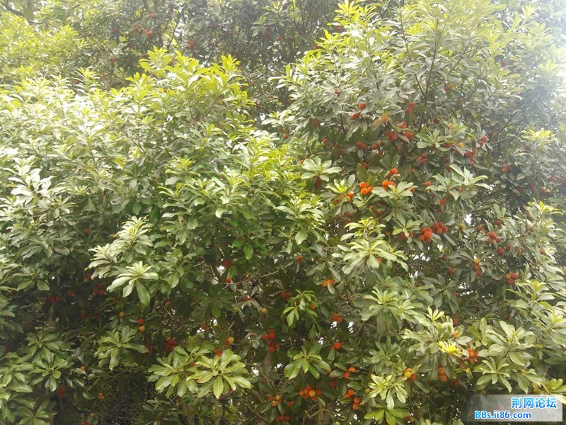 20120622104914.jpg