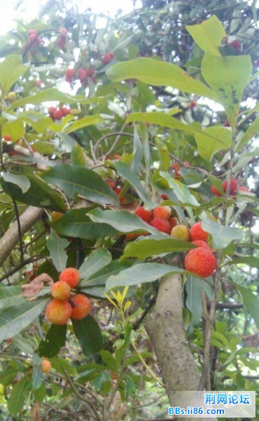 QQ截图20120622104955.jpg