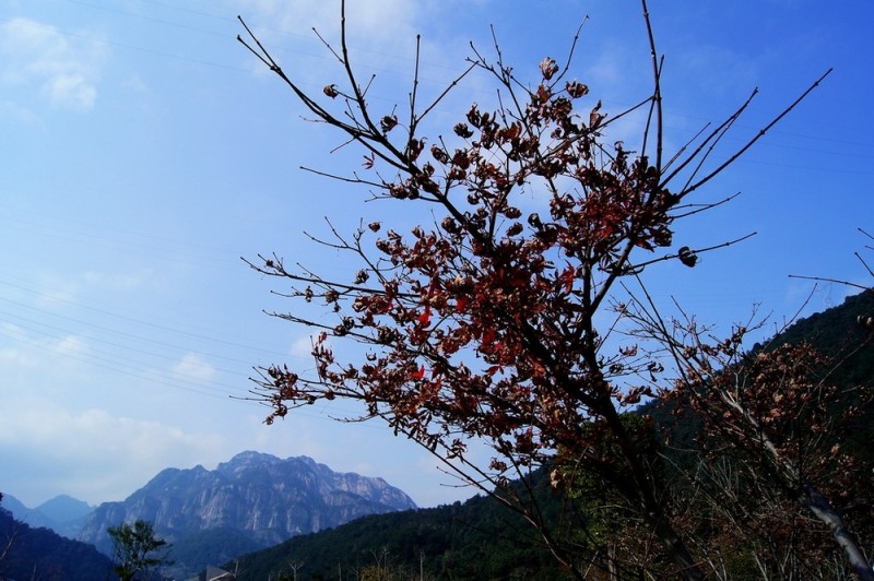 DSC09550.JPG