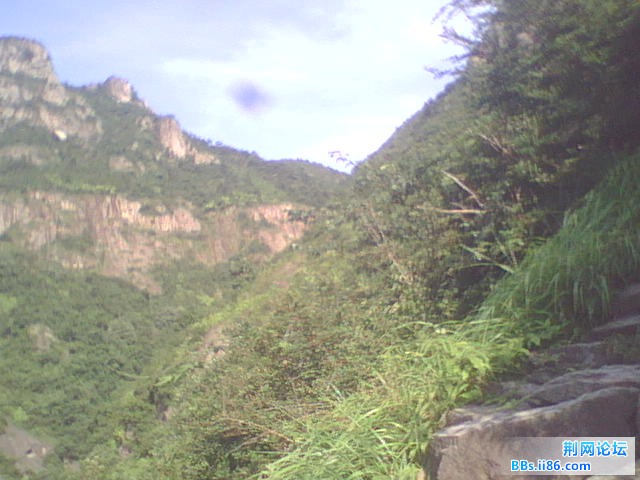 WLS01247.JPG