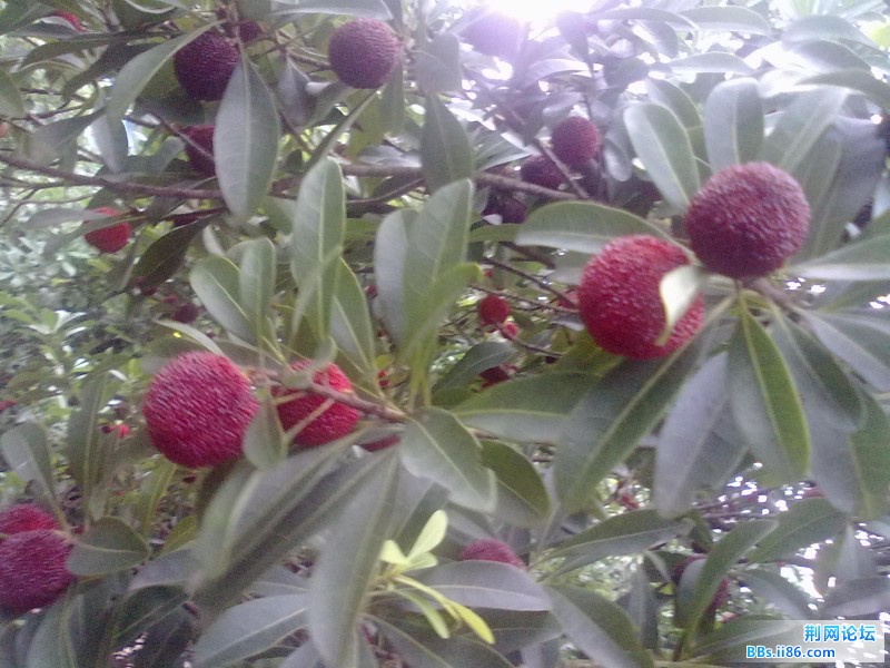 20120620626.jpg