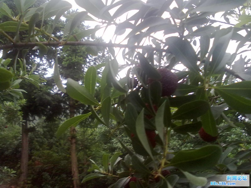 20120620627.jpg
