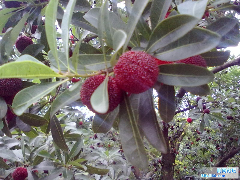 20120620628.jpg