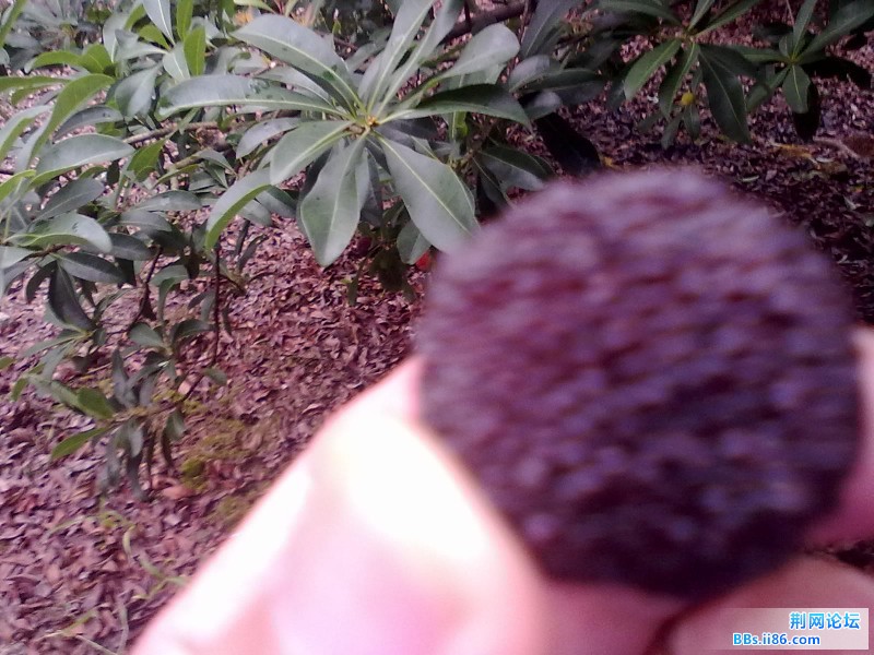 20120620629.jpg