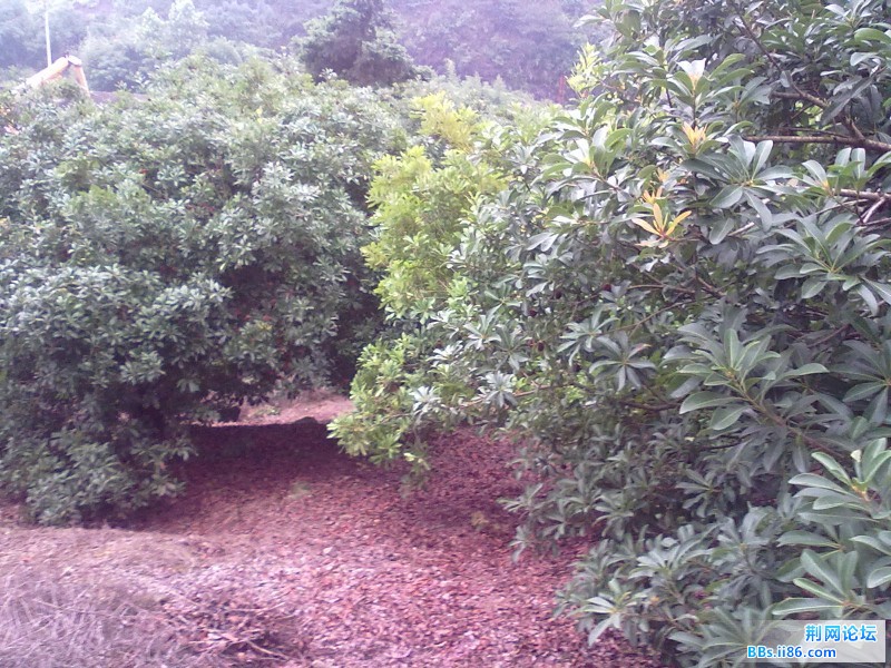 20120620631.jpg
