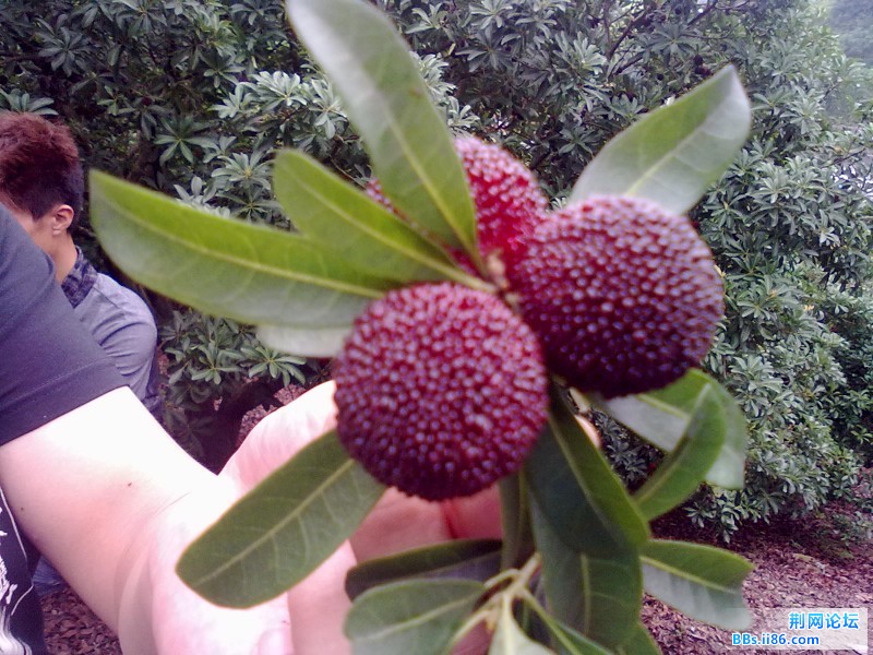 20120620633.jpg