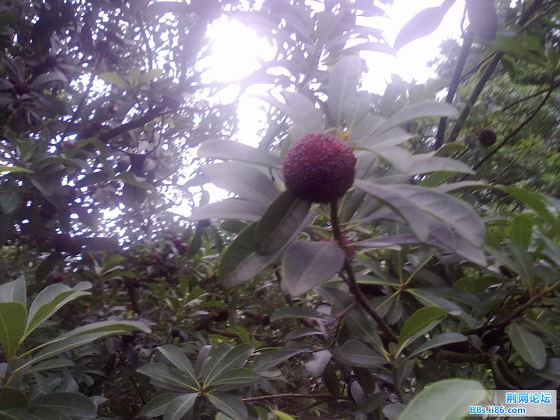 20120620625.jpg