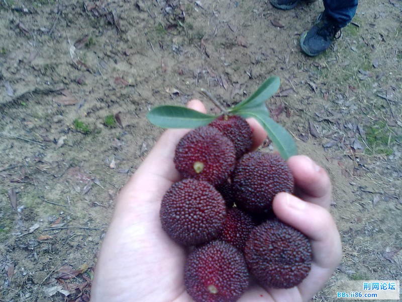 20120620632.jpg