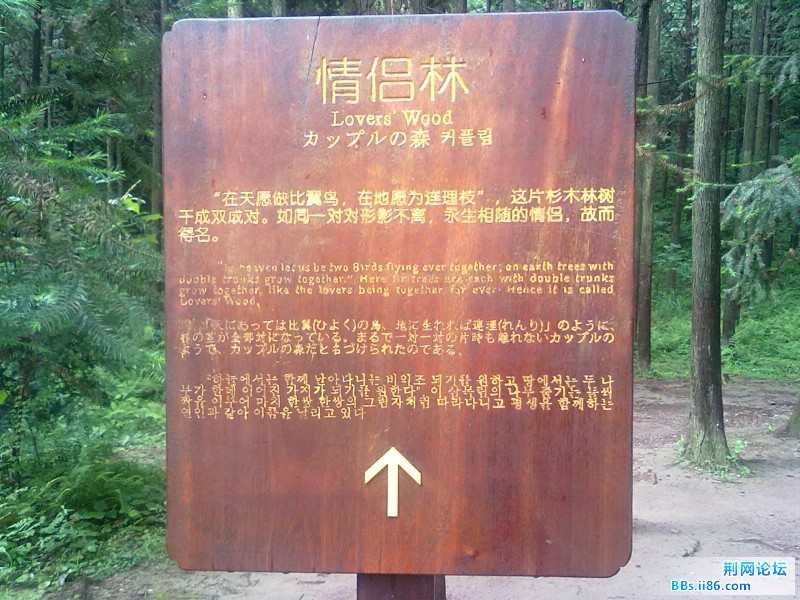 20120621641.jpg