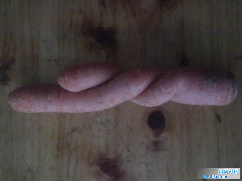 20120124509.jpg