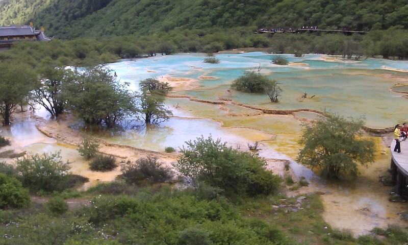 IMAG0062.jpg