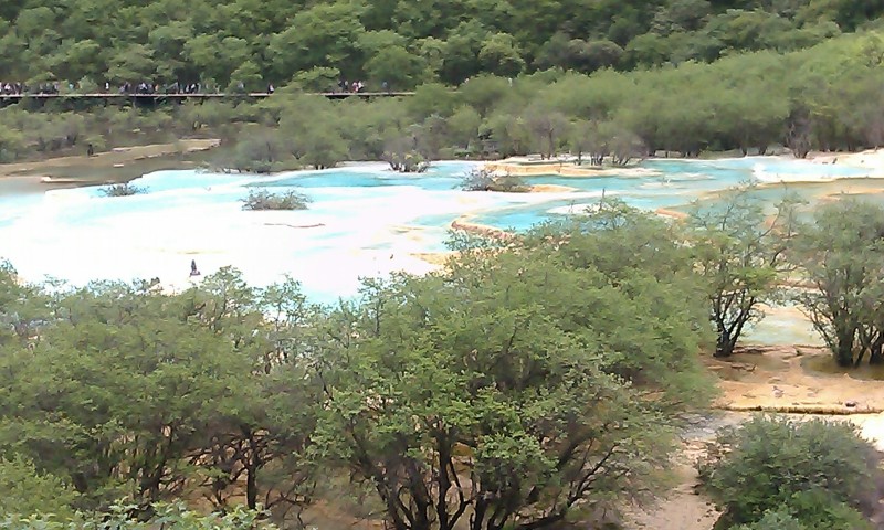 IMAG0065.jpg
