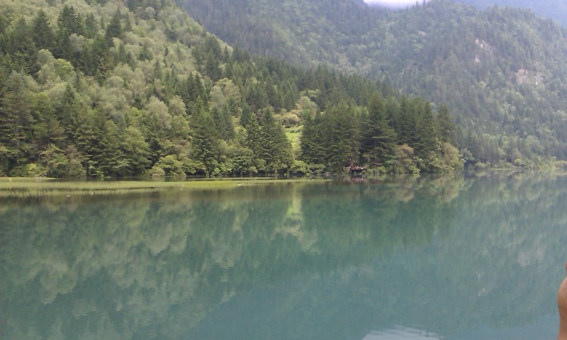 IMAG0083.jpg