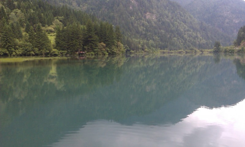 IMAG0084.jpg