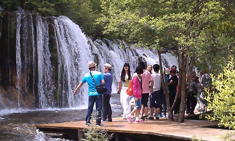 IMAG0093.jpg