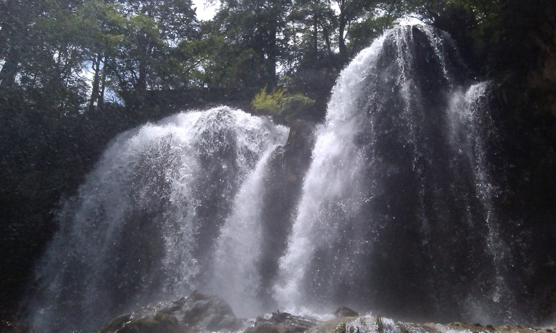 IMAG0101.jpg