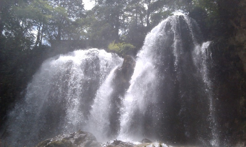 IMAG0102.jpg
