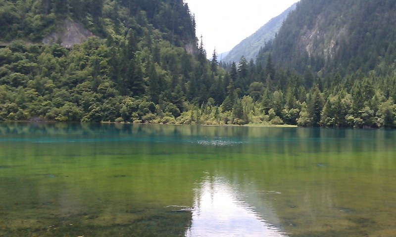 IMAG0104.jpg