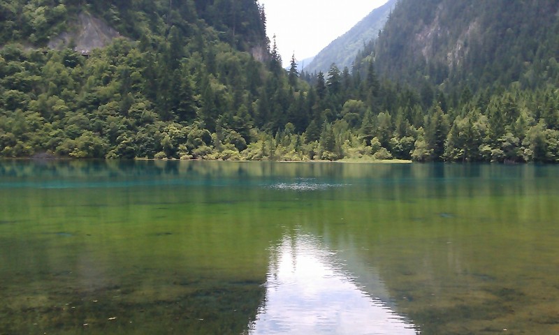 IMAG0105.jpg
