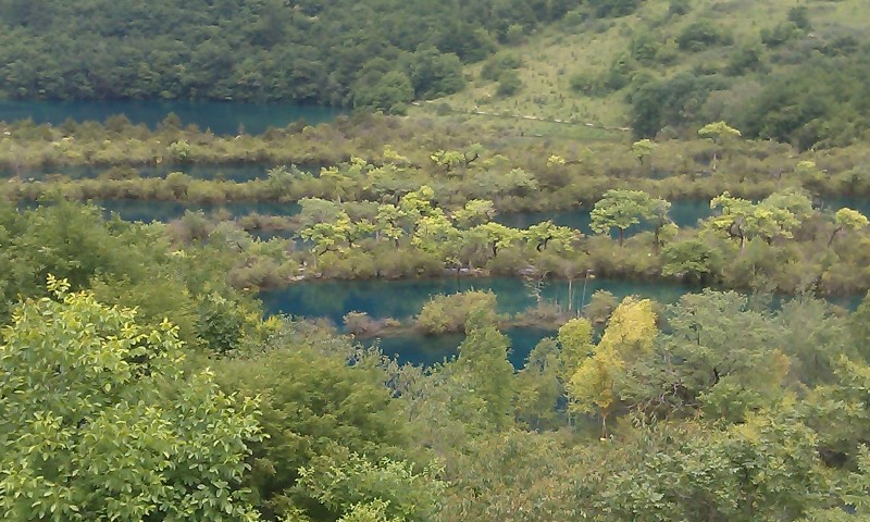 IMAG0109.jpg